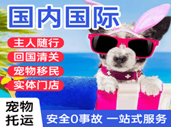 伊金霍洛机场货运国际宠物托运 【国